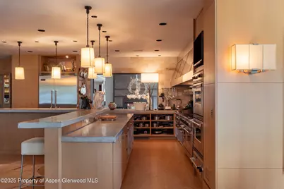 2500 Woody Creek Road, Woody Creek, CO 81656 - Photo 9