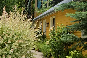 111 S Sixth Street St, Aspen, CO 81611 - Photo 61