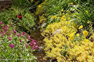 111 S Sixth Street St, Aspen, CO 81611 - Photo 43