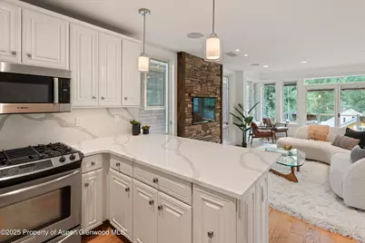 111 S Sixth Street Street, Aspen, CO 81611 - Photo 17