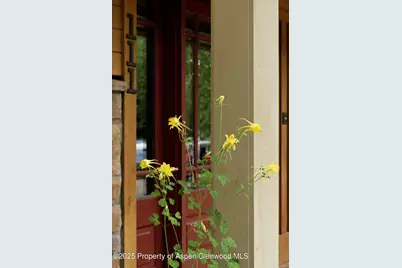 111 S Sixth Street Street, Aspen, CO 81611 - Photo 59