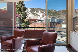 208 S Spring St, Aspen, CO 81611 - Photo 11