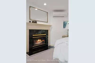 208 S Spring Street #1, Aspen, CO 81611 - Photo 19