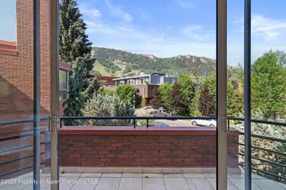 208 S Spring Street #1, Aspen, CO 81611 - Photo 5