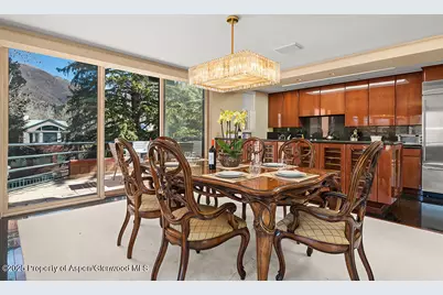 208 S Spring Street #1, Aspen, CO 81611 - Photo 5