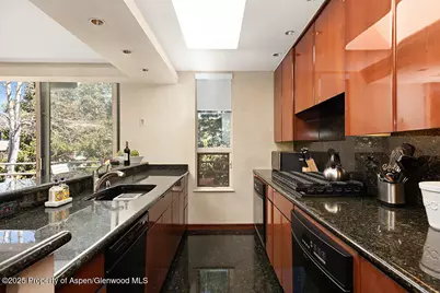 208 S Spring Street #1, Aspen, CO 81611 - Photo 11