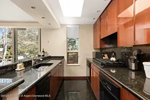 208 S Spring St, Aspen, CO 81611 - Photo 11