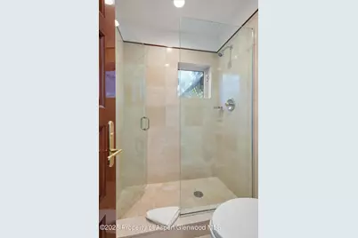 208 S Spring Street #1, Aspen, CO 81611 - Photo 27