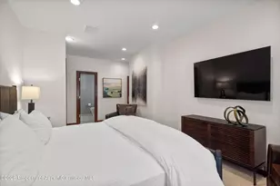 208 S Spring St, Aspen, CO 81611 - Photo 23
