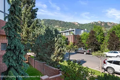 208 S Spring Street #1, Aspen, CO 81611 - Photo 25