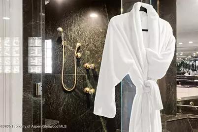 208 S Spring Street #1, Aspen, CO 81611 - Photo 15