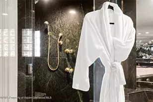 208 S Spring St, Aspen, CO 81611 - Photo 15