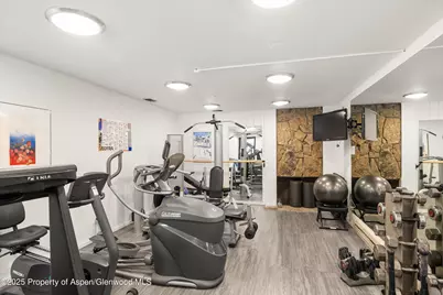 1039 E Cooper Avenue #21A, Aspen, CO 81611 - Photo 25