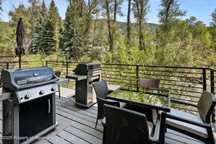 1039 E Cooper Ave, Aspen, CO 81611 - Photo 29