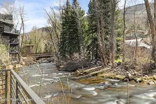 1039 E Cooper Ave, Aspen, CO 81611 - Photo 23