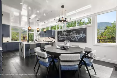 627 E Hopkins Avenue, Aspen, CO 81611 - Photo 9