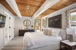 217 Longhorn Ln, Basalt, CO 81621 - Photo 5