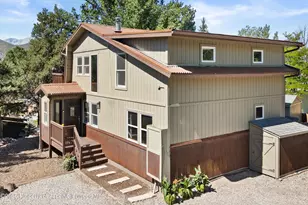 217 Longhorn Ln, Basalt, CO 81621 - Photo 21