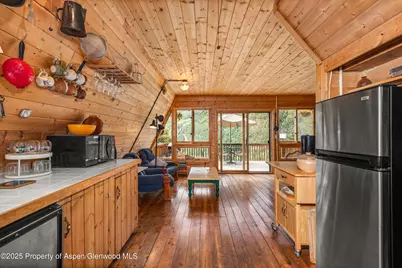 860 Serpentine Trail, Marble, CO 81623 - Photo 9