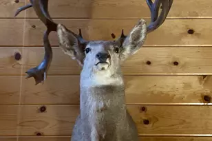 2586 26 1/10 Rd, Gateway, CO 81522 - Photo 51