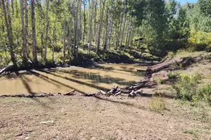 2586 26 1/10 Rd, Gateway, CO 81522 - Photo 39