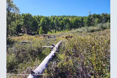 2586 26 1/10 Road, Gateway, CO 81522 - Photo 21