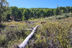 2586 26 1/10 Rd, Gateway, CO 81522 - Photo 21