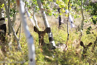 2586 26 1/10 Road, Gateway, CO 81522 - Photo 47