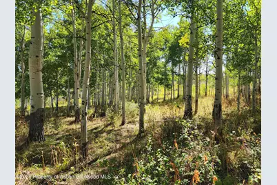 2586 26 1/10 Road, Gateway, CO 81522 - Photo 17