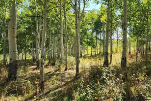 2586 26 1/10 Rd, Gateway, CO 81522 - Photo 17