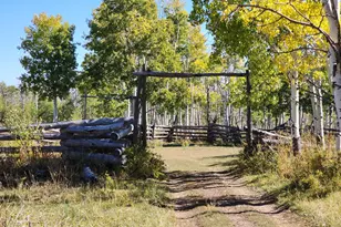 2586 26 1/10 Rd, Gateway, CO 81522 - Photo 5