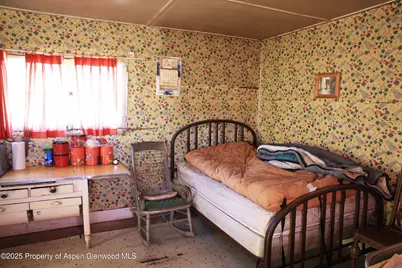 2586 26 1/10 Road, Gateway, CO 81522 - Photo 9