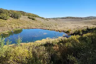 2586 26 1/10 Rd, Gateway, CO 81522 - Photo 19