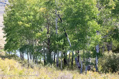 2586 26 1/10 Road, Gateway, CO 81522 - Photo 45