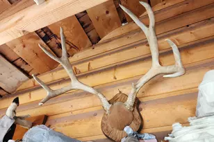 2586 26 1/10 Rd, Gateway, CO 81522 - Photo 49