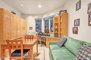 734 W Smuggler St, Aspen, CO 81611 - Photo 25