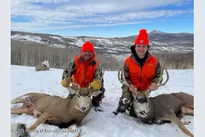 943 Routt Forest Drive, Craig, CO 81625 - Photo 101