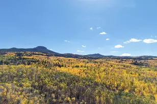 943 Routt Forest Dr, Craig, CO 81625 - Photo 115