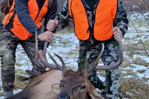 943 Routt Forest Dr, Craig, CO 81625 - Photo 107