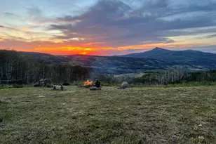 943 Routt Forest Dr, Craig, CO 81625 - Photo 93