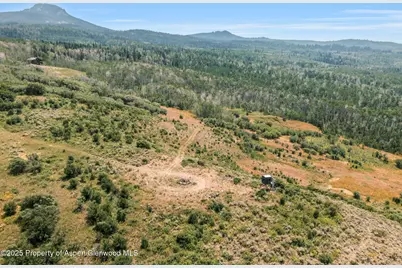 943 Routt Forest Drive, Craig, CO 81625 - Photo 85