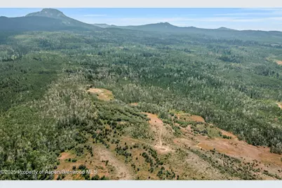 943 Routt Forest Drive, Craig, CO 81625 - Photo 83