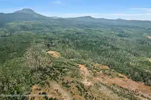 943 Routt Forest Dr, Craig, CO 81625 - Photo 83