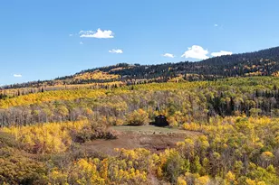 943 Routt Forest Dr, Craig, CO 81625 - Photo 117