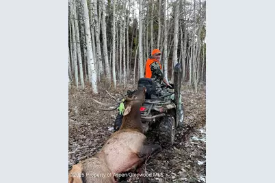 943 Routt Forest Drive, Craig, CO 81625 - Photo 103