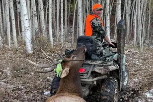 943 Routt Forest Dr, Craig, CO 81625 - Photo 103