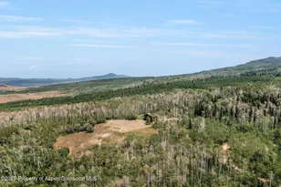 943 Routt Forest Dr, Craig, CO 81625 - Photo 45