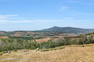 943 Routt Forest Dr, Craig, CO 81625 - Photo 75