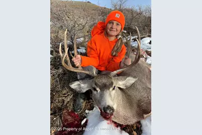 943 Routt Forest Drive, Craig, CO 81625 - Photo 105