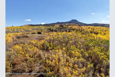 943 Routt Forest Drive, Craig, CO 81625 - Photo 113